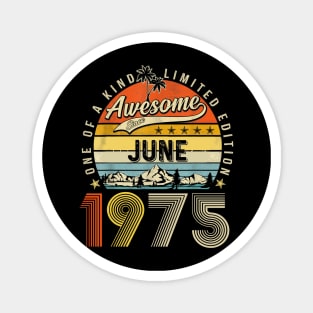 Awesome Since June 1975 Vintage 48th Birthday Magnet